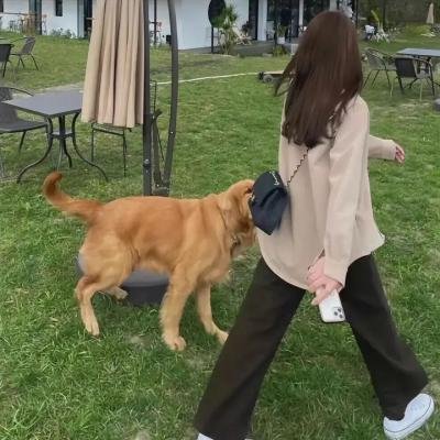 北之萤